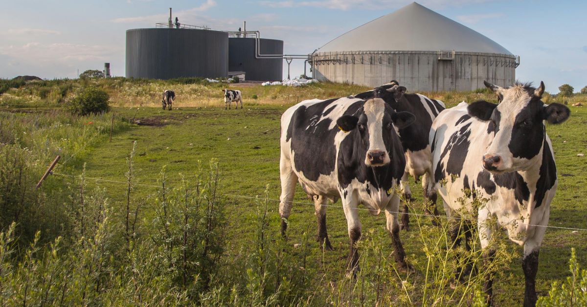 /contentassets/fb880e4b677a4e51a447c36e3efb254f/biogas-article-header.jpg